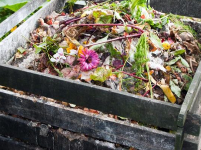 Informacja o obowiązku złożenia ankiety dotyczącej kompostowania bioodpadów w 2025 roku