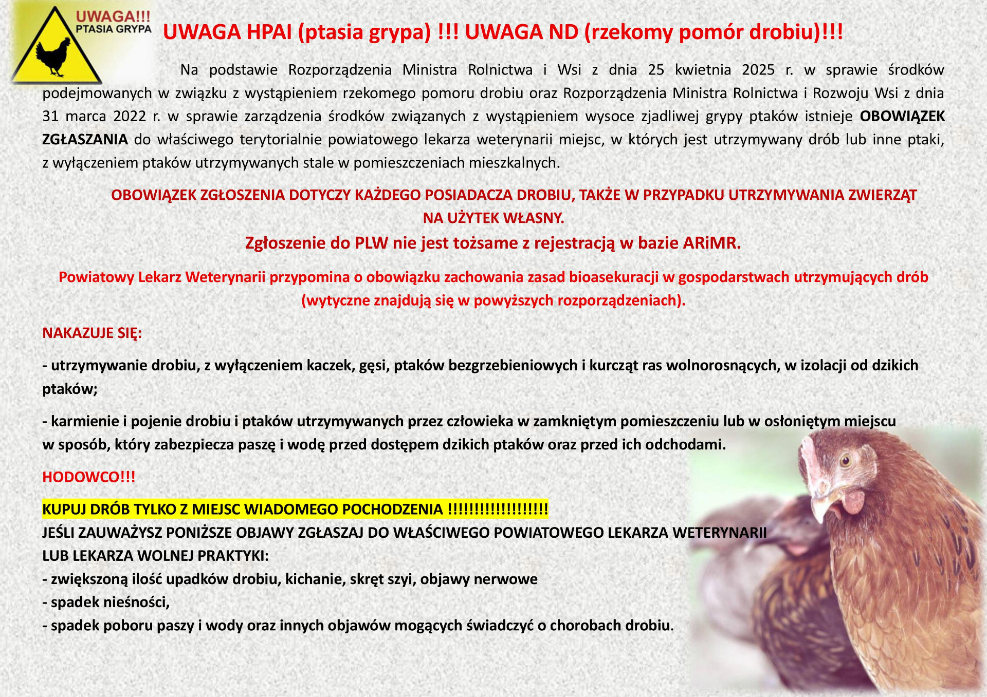 UWAGA HODOWCY! WAŻNY KOMUNIKAT – HPAI (ptasia grypa) oraz ND (rzekomy pomór drobiu)