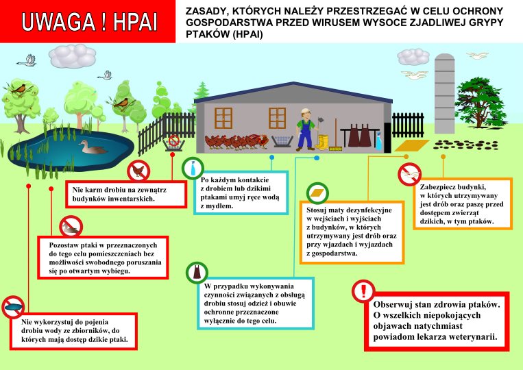 
UWAGA! HPAI
