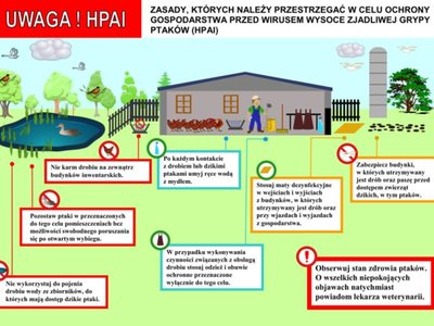 UWAGA! HPAI