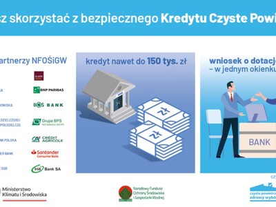 Partnerzy