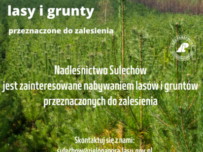Możliwość zakupu lasów i gruntów przeznaczonych do zalesień przez Nadleśnictwo
