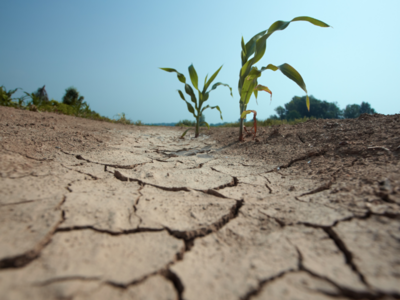 Informacja dla rolników w związku z suszą