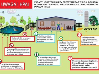 Wysoce zjadliwa grypa ptaków (HPAI)