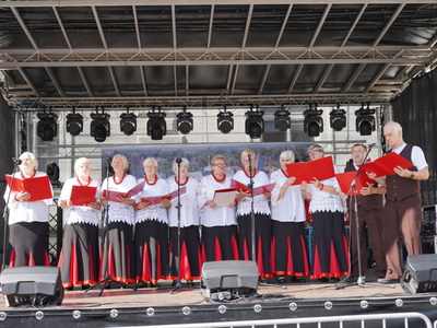 Występ zespołu Trzebiechowianie podczas Święta Pieczonego Indyka w ramach projektu "Trzebiechowinie nowy skład"