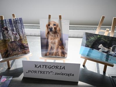 finał powiatowego konkursu fotograficznego