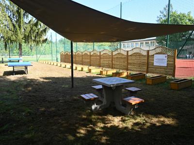 zielona strefa