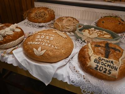dożynki powiatowe