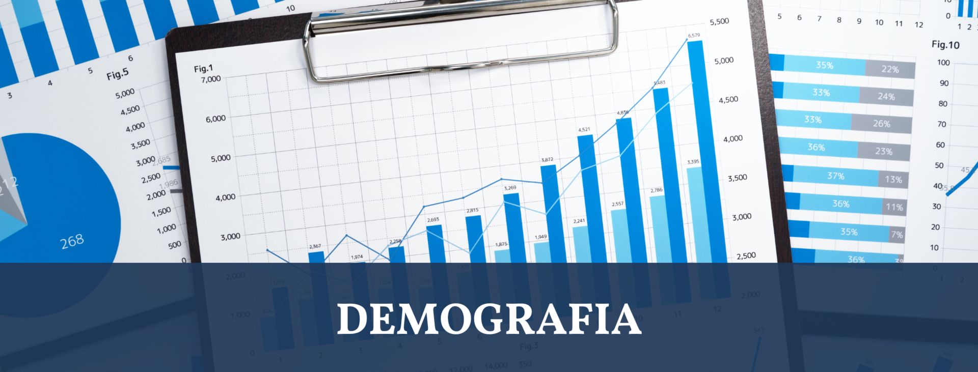 grafika demografia [2050x780]