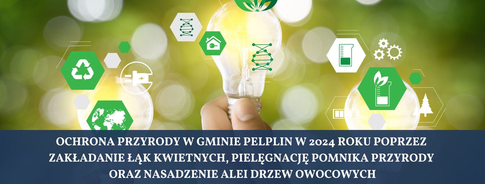 grafik_ochrona_przyrody_2024.jpg [2050x780]