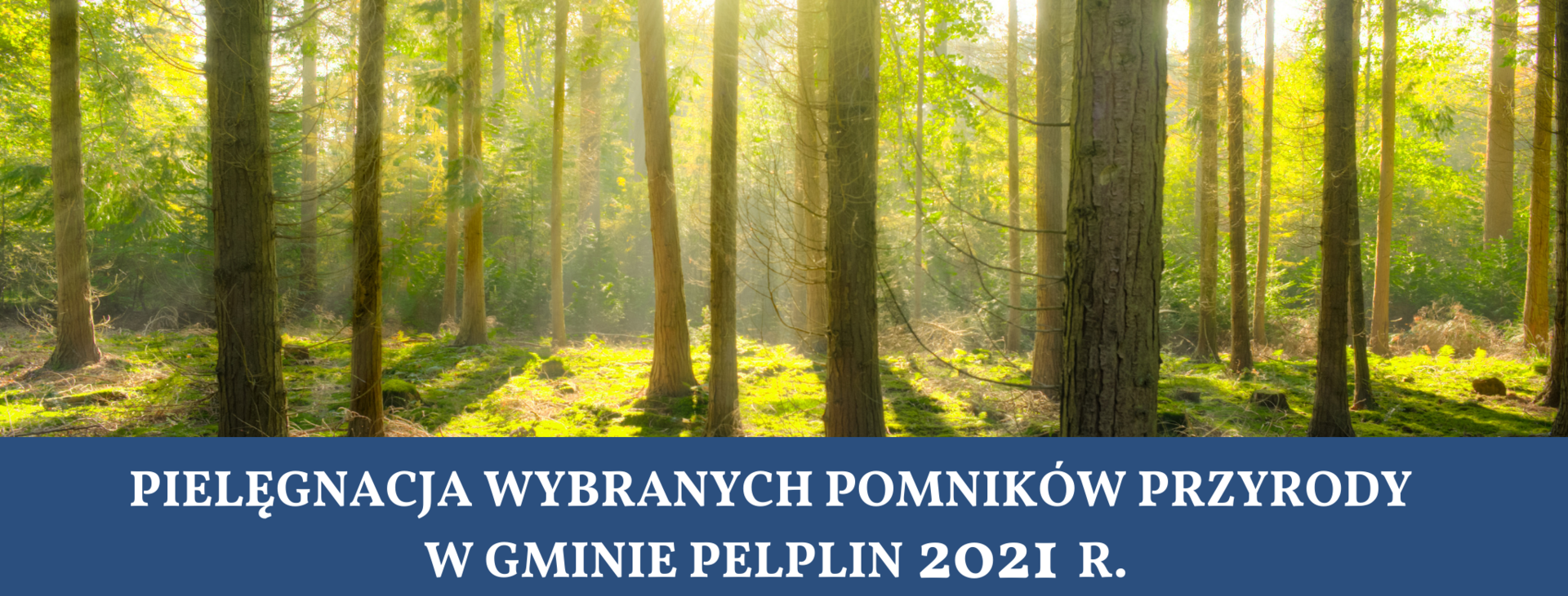 grafika pomniki przyrody 2021 [2050x780]