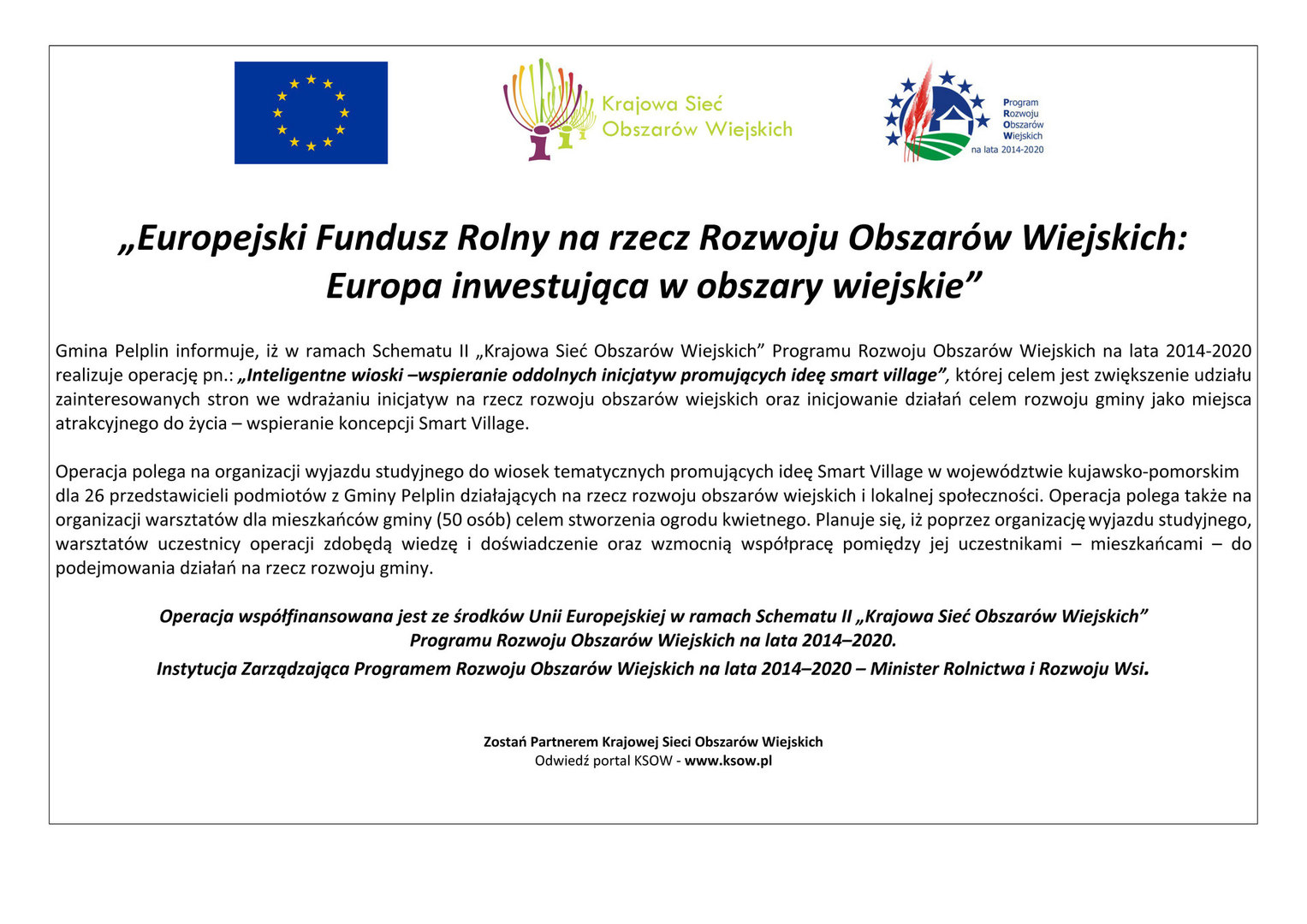 Inteligentne wioski �wspieranie oddolnych inicjatyw promujących ideę smart village [1527x1080]