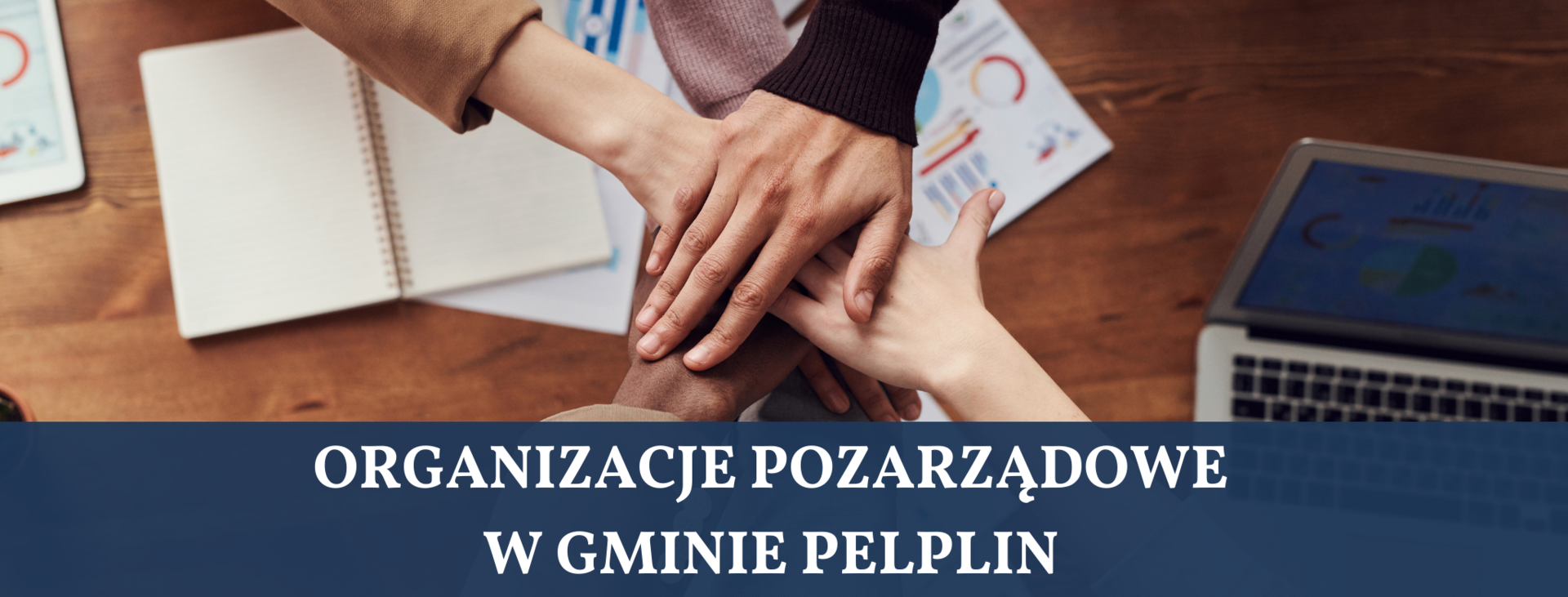 grafika organizacje pozarządowe w Gminie Pelplin [2050x780]