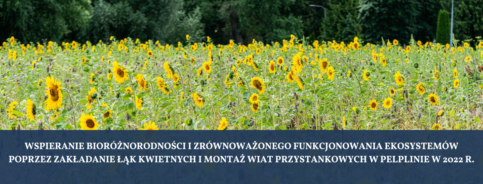 grafika Wspieranie bioróżnorodności 2022 [2050x780]
