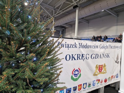zdjęcie z wydarzenia V Okręgowa Wystawa Gołębi Pocztowych w Pelplinie 2024