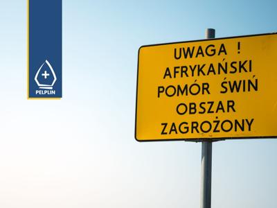 cover photo Afrykański Pomór Świń (ASF) 
