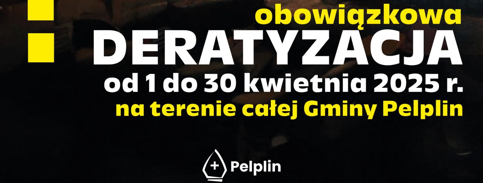 grafik deratyzacja 