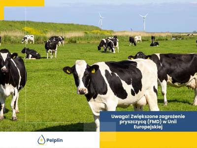 cover photo grafika 