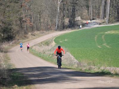 zdjęcie z wydarzenia Pelplin Forest Run 2025