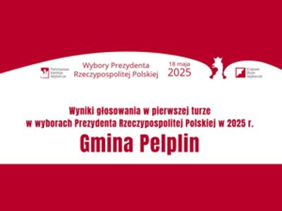 grafika wybory 
