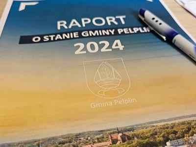 grafika raport 