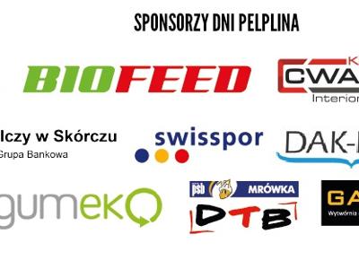 belka logotypy 