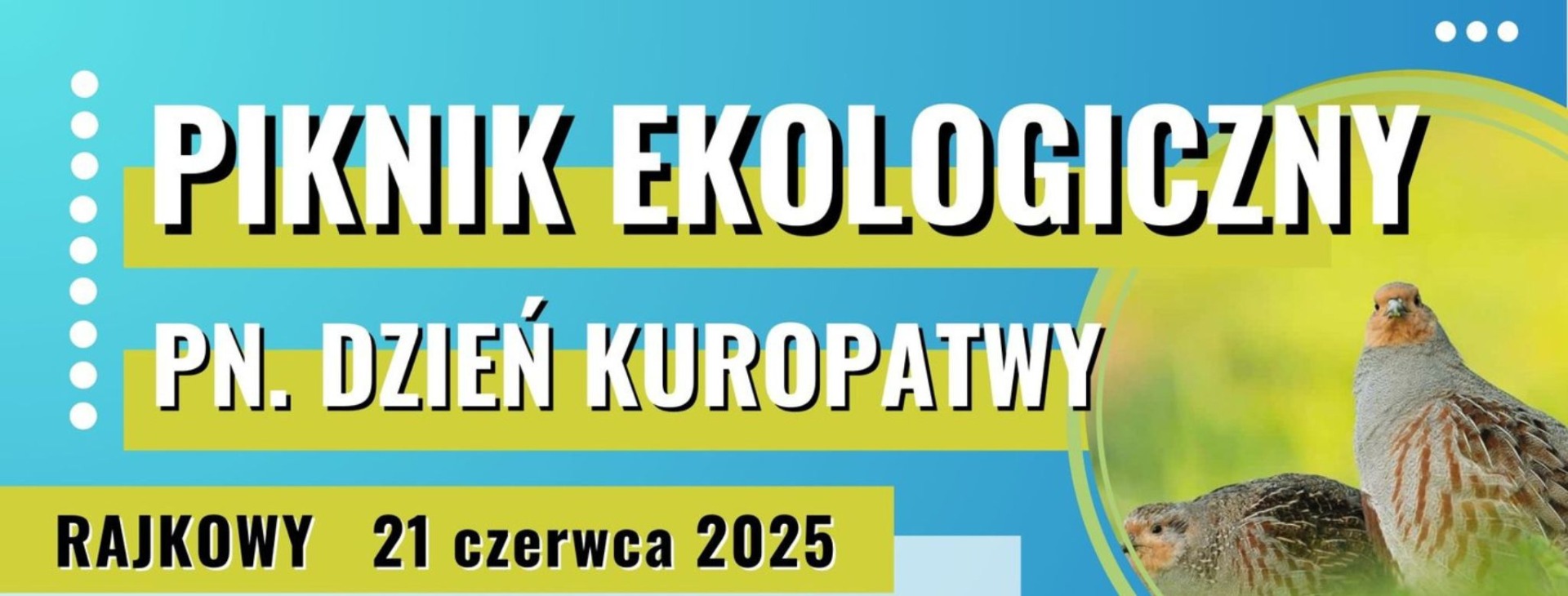 cover photo Piknik Kuropatwy 2025 
