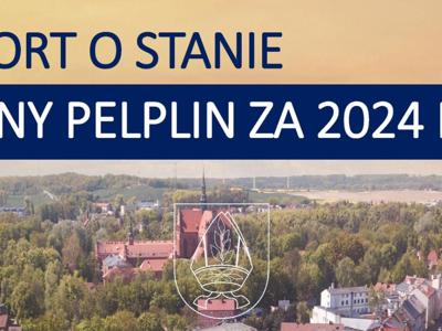 Raport o stanie gminy 