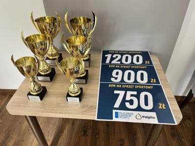 Podsumowanie sportowego roku szkolnego 2024/2025 w Gminie Pelplin