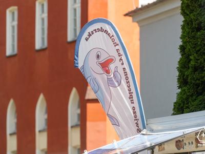 zdjęcie z wydarzenia Dzień św. Bernarda 2025 w Pelplinie
