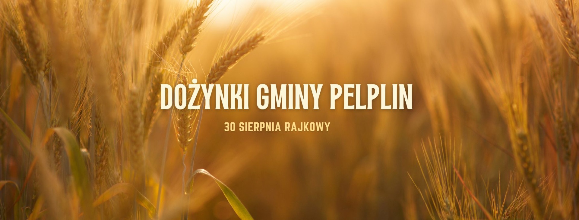 tło dożynki 