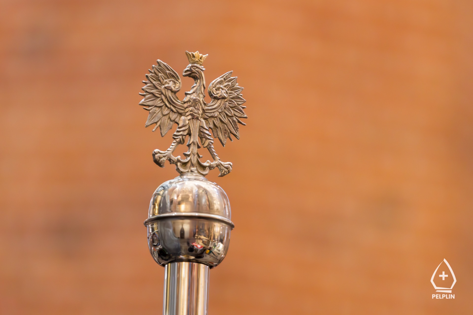 zdjęcie z Obchodów Narodowego Święta Niepodległości w Pelplinie 2025 r.