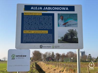 zdjęcie z sadzenie alei drzew owocowych.