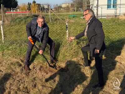 zdjęcie z sadzenie alei drzew owocowych.