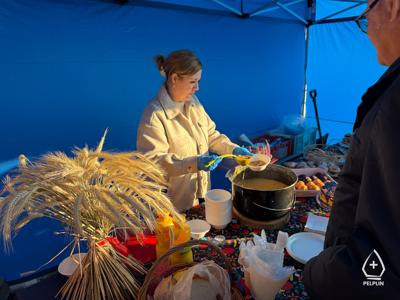 zdjęcie z sadzenie alei drzew owocowych.