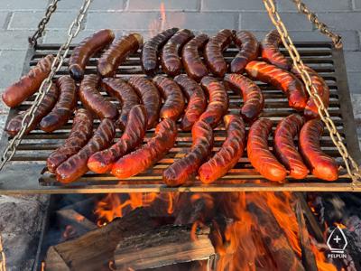 zdjęcie z sadzenie alei drzew owocowych.