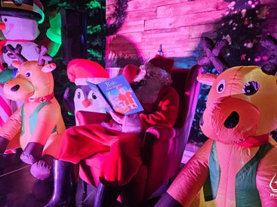 6 grudnia 2025 w Gminie Pelplin