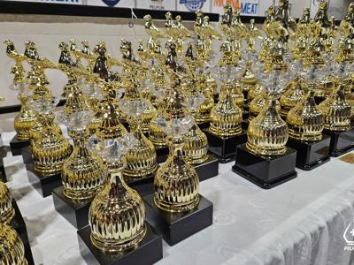 VI Okręgowa Wystawa Gołębi Pocztowych w Pelplinie 2025