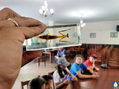 Eko Wakacje w Gminie Pelplin zajęcia w Rajkowach 