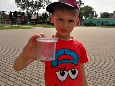 Eko Wakacje w Gminie Pelplin zajęcia w Rajkowach 