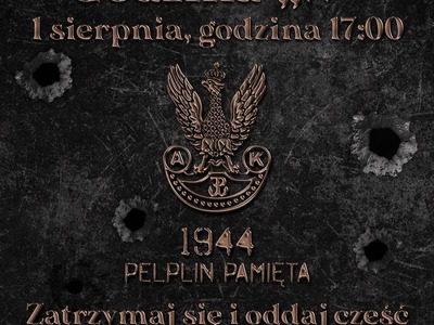 infografika