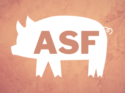 grafika ASF