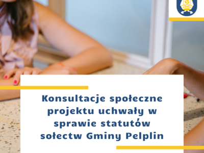 grafiak konsultacje społeczne 