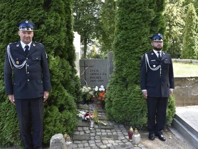 zdjęcie nr 7