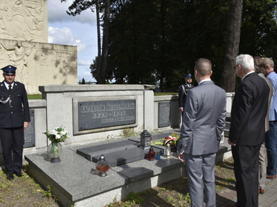 zdjęcie nr 14