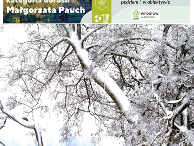 Zdjęcie pracy konkursowej 