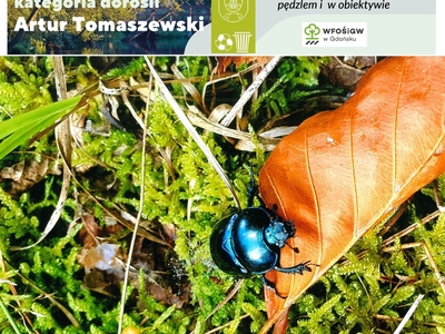 Zdjęcie pracy konkursowej 