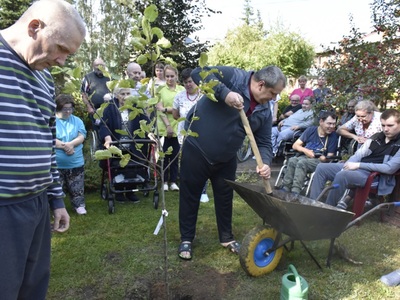 zdjęcie nr 15