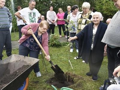 zdjęcie nr 26