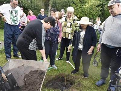zdjęcie nr 27